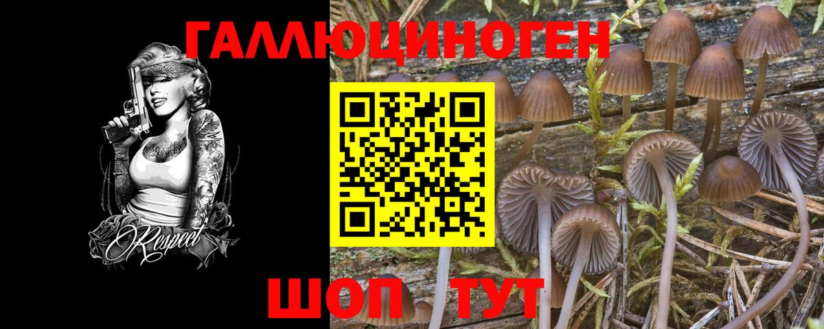 Тутаев  Галлюциногенные грибы мицелий  Вход с VPN  Псилоцибиновые грибы GOLDEN TEACHER 